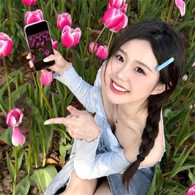 美国兔子的冒险
